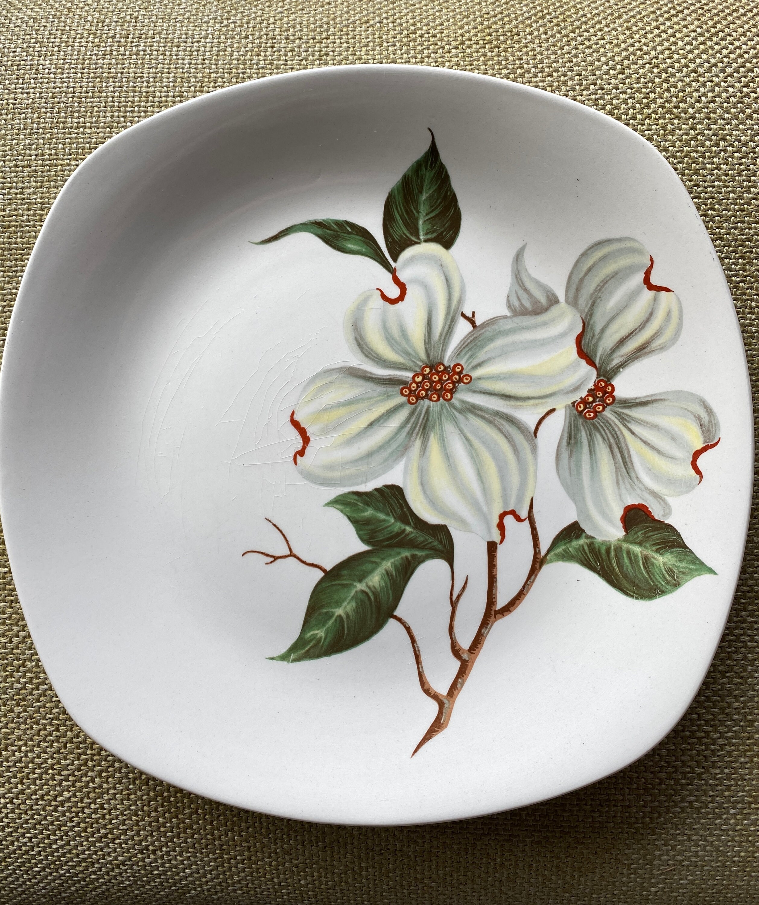 未使用 ビンテージ Midwinter COUNTRYSIDE リム付きプレート Midwinter Style Craft Stoneware Dinner Plate 25cm “dogwood