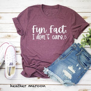 Fun Fact: I Don't Care T-Shirt, Don't Care Shirt, Indifferent Shirt, Funny Quotes Shirt, Funny Graphic Tee, Fun Fact Shirt, Funny T-Shirt