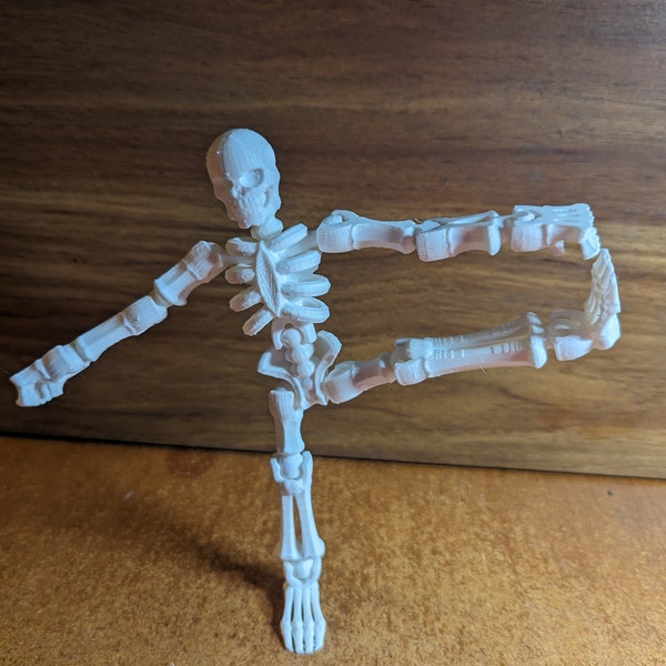 3D Printed Posable Skeleton