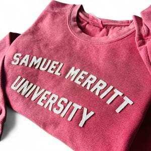 Custom Retro University Sweatshirt College Apparel Comfort Colors Embroidered Varsity Crew Personalized Graduation Gift Back to School