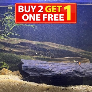 Cueva de pleco impresa en 3D: decoración de acuario PLA negro mate / ¡COMPRE 2 y obtenga 1 cueva GRATIS!