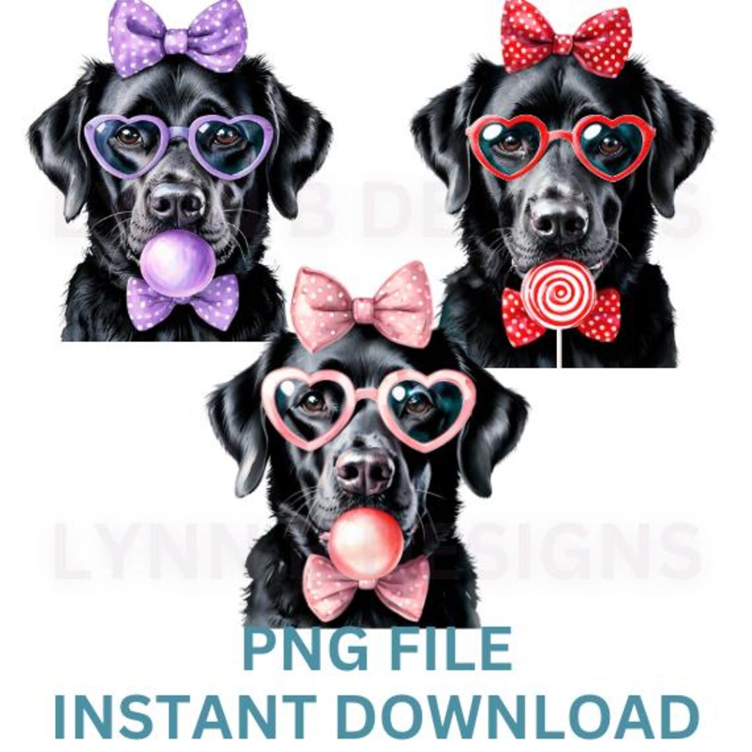 Black Lab Png Designs, Labrador Retriever Png, With Bubblegum,cute Lab ...