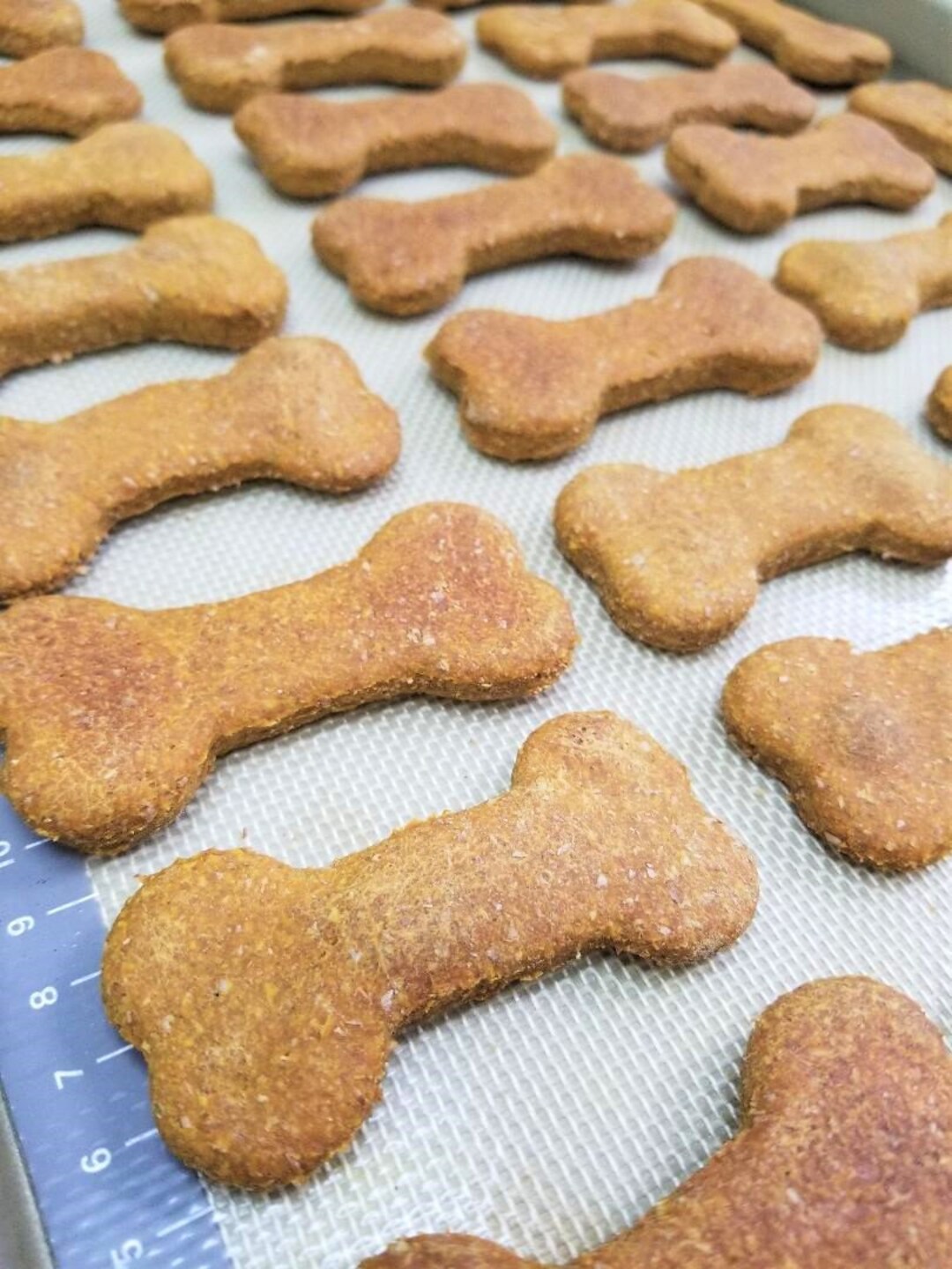 Homemade Pumpkin & Peanut Butter Dog Treat Gift. All Natural