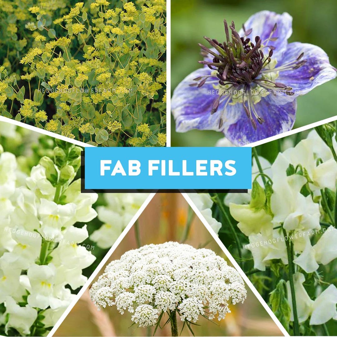 Spring Rings Fillers Fab Fillers for Spring Blooms Bundle - 5 Flowering Fillers - Mix of ...
