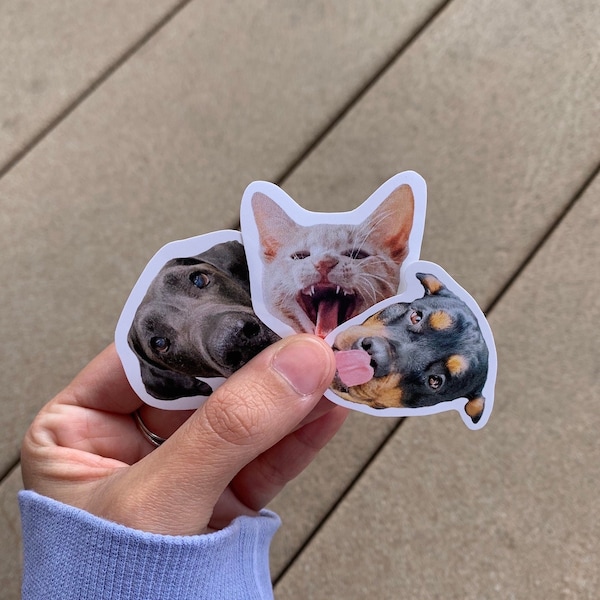 CUSTOM PET STICKERS, custom dog sticker, custom cat sticker, face sticker, dog face stickers, water bottle stickers, laptop stickers