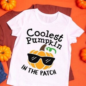 May include: White t-shirt with a graphic of a pumpkin wearing sunglasses and the text "Coolest Pumpkin in the Patch". The shirt is surrounded by small orange pumpkins.