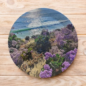 Set of 7.5&quot; Plastic Plates, San Diego, CA South Ponto Beach Print, Floral Ocean Party Decor, Coastal Summer Dishes, Outdoor Tableware