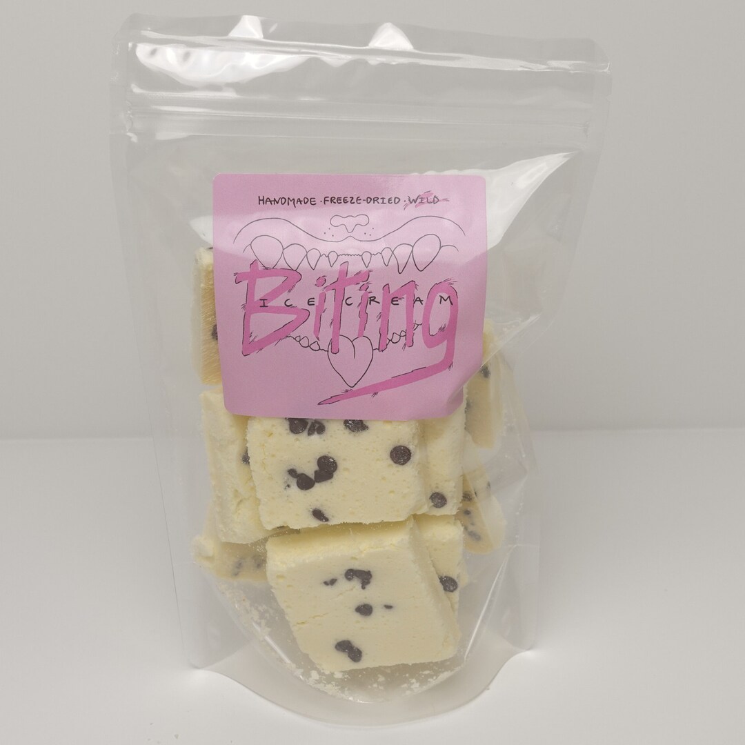 Mint Chip Freeze Dried Ice Cream Handmade Astronaut Ice Cream Great for