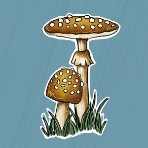 Cogumelo, par Clipart