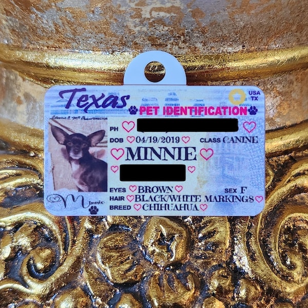 Dog Driver License Etsy