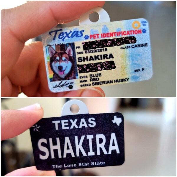 Dog Driver License Etsy