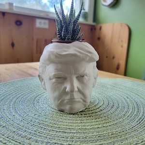 May include: A white ceramic planter shaped like a person's head with a green succulent plant growing out of the top.