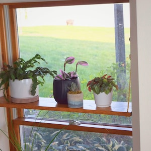 窓辺の植物棚