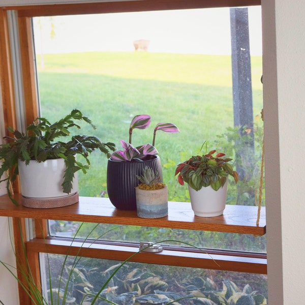 Window Plant Shelf