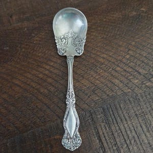 Cucchiaio da zucchero Wm. Rogers & Son in conchiglia d'argento, modello Arbutus, vintage, 15 cm