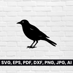 Silueta de pájaro, SVG de pájaro, PDF, DXF, PNG, clipart de pájaro, logotipo vectorial de pájaro, diseño de camiseta, Cricut / descarga digital, forma de pájaro en blanco y negro
