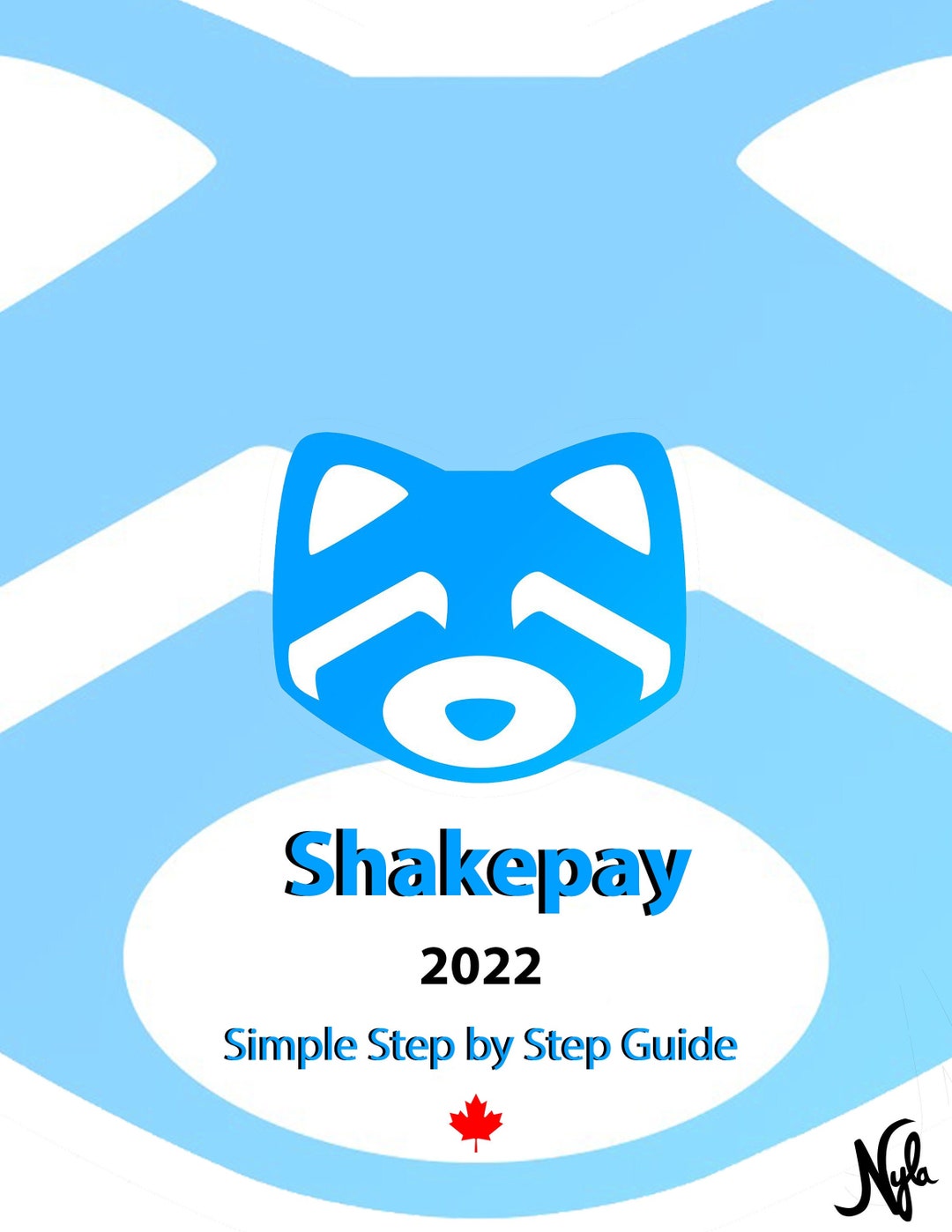 Shakepay 2022 Simple Step by Step Guide Etsy