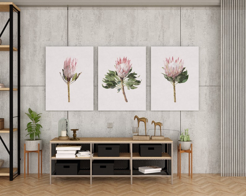 Watercolor Protea Wall Art Set King Protea Art Print Blush Pink Floral Home Decor Gift Protea
