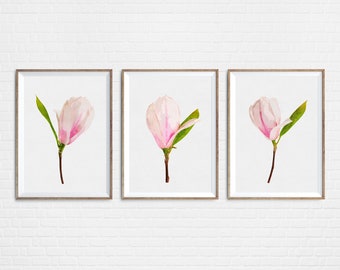 Watercolor Magnolia Print Set, Blush Pink Floral Art (Digital Download)