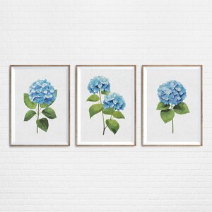 3er Set Blaue Aquarell Hortensien Drucke | Minimalistische bunte Wand-Dekor botanische Wandkunst digitaler Download DRUCKBARE Blumendrucke #BO3