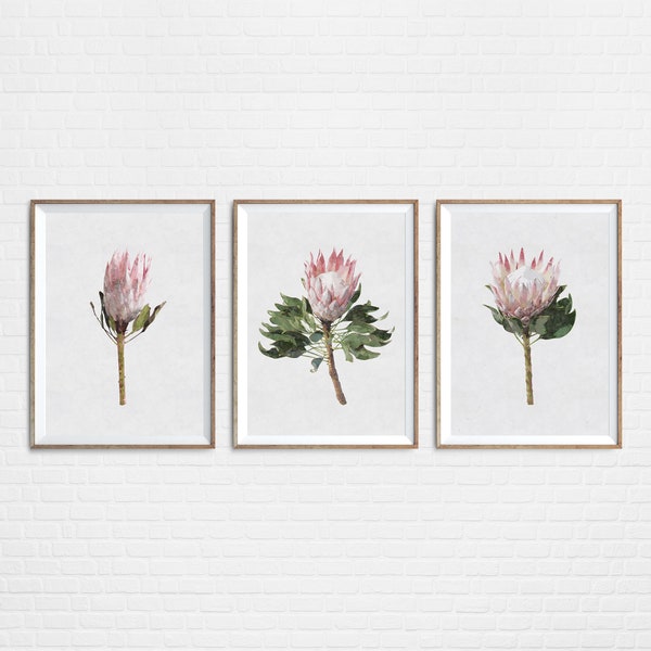 Watercolor Protea Wall Art Set King Protea Art Print Blush Pink Floral Home Decor Gift Protea Plant Digital Download PRINTABLE Art #BO1