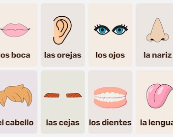 Body Parts Flashcards in Spanish for Kindergarten Teacher Flashcards ...