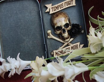 Time Flies, Remember Death Skull Tin II