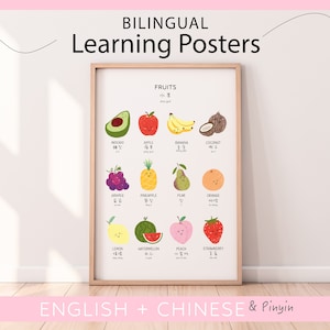 Carteles de aprendizaje chino / Cartel de frutas / Carteles educativos chinos bilingües / Imprimibles de educación en el hogar / Descarga digital / Montessori