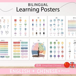10 carteles educativos bilingües (inglés, chino simplificado, pinyin) / Juego de 10 carteles educativos / Imprimibles Montessori para educación en casa