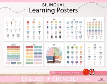 10 zweisprachige Englische Vereinfachte Pinyin Lernposter | 10er Lernposter | Hausschule Montessori Printables