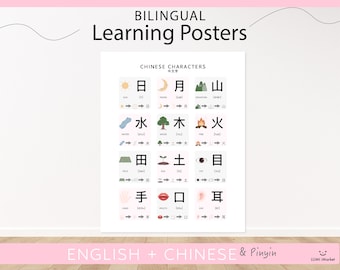 Chinesisches Schriftzeichen Piktogramm | Englisch Chinesisch zweisprachige Lernposter | Klassenzimmer Poster | Homeschool druckbare | Montessori Poster