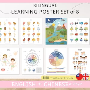 May include: A set of eight bilingual learning posters. The posters feature illustrations of animals, food, nature, transportation, body parts, time, and family. The posters are in English, Traditional Chinese, and Pinyin.