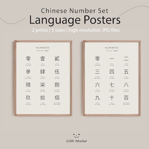 Cartel de aprendizaje de números chinos / Cartel educativo / Impresiones de idiomas / Descarga digital / Arte de pared de aprendizaje de idiomas / Chino tradicional