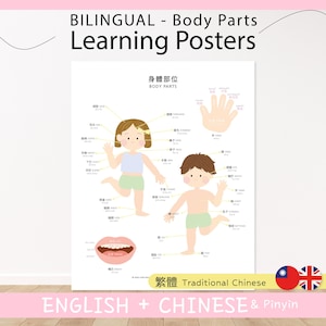 Póster bilingüe chino-inglés para aprender las partes del cuerpo / Póster de mi cuerpo / Materiales Montessori / Recursos para la educación en casa / IMPRIMIBLE