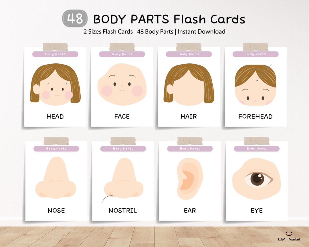 48 English Body Parts Flashcards | Bilingual Learning Cards ...