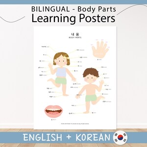 Zweisprachiges koreanisches Englisch Körperteile Lernposter | Mein Körper Poster | Montessori Materialien | Homeschool Ressourcen | DRUCKBAR