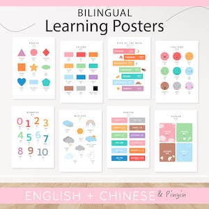 8 carteles educativos bilingües inglés chino pinyin / Juego de 8 carteles educativos / Imprimibles para la educación en casa / Clima, sensación, forma y color