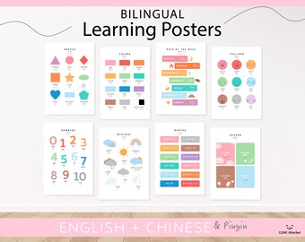 8 zweisprachige Englisch Chinesisch Pinyin Lernposter | 8 Lernposter im Set | Homeschool Printables | Wettergefühl Form Farbe