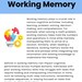 Improve Your Working Memory Strategy Cards - Executive Functioning ...