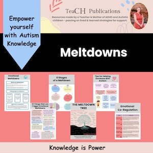 Autism ADHD Meltdown Coping Skills Poster: Emotional Regulation Tools (Digital Download)