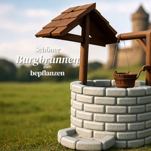 Può includere: Un pozzo in pietra grigia con un tetto in legno e un secchio appeso a una corda. Il pozzo è circondato da erba verde e sullo sfondo è visibile un castello.