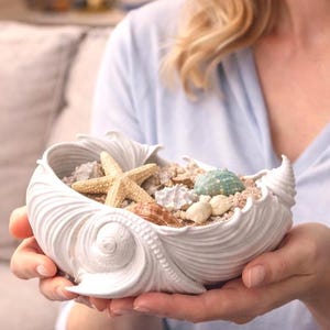 Könnte beinhalten: Eine weiße, muschelförmige Schale gefüllt mit verschiedenen Muscheln und einem Seestern. Die Schale wird von einer Person gehalten. Die Schale ist ein dekorativer Gegenstand, perfekt für die Küstendekoration.