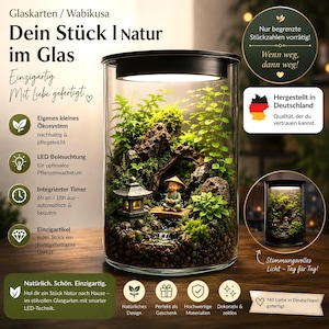 Flaschengarten Wabi-Kusa Set mit  Voll Spektrum Licht & Computer - Pflanzenlicht Flaschengarten selber machen Pflanzen im Glas Ökosystem