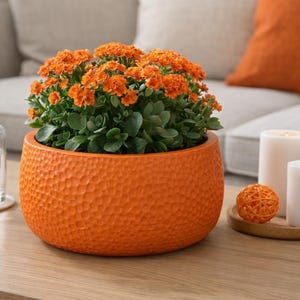 Puede incluir: Una maceta de cerámica naranja texturizada llena de una planta floreciente con flores naranjas. La maceta está sobre una mesa de madera, junto a velas y un vaso de agua, creando un ambiente cálido. La maceta tiene unos 20 cm de diámetro.