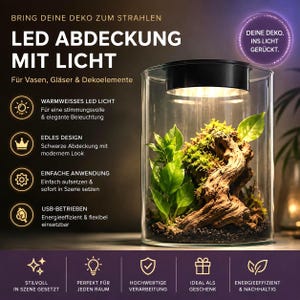 May include: A cylindrical glass terrarium featuring a black LED light cover on top. The interior contains green plants, moss, and a piece of driftwood. Text on the image includes: BRING DEINE DEKO ZUM STRAHLEN, LED ABDECKUNG MIT LICHT, and DEINE DEKO. INS LICHT GERÜCKT.