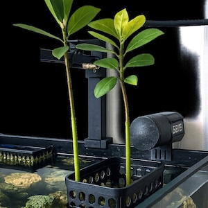 May include: A black metal plant stand with a digital thermometer attached to it. Two green plants are growing in a black plastic pot on the stand. The stand is mounted to the side of a black aquarium.