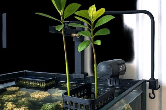 Porta Piante Acquario Sospeso - Per Piante Acquatiche Con 5 Fori, Accessorio Decorativo - Foto 11