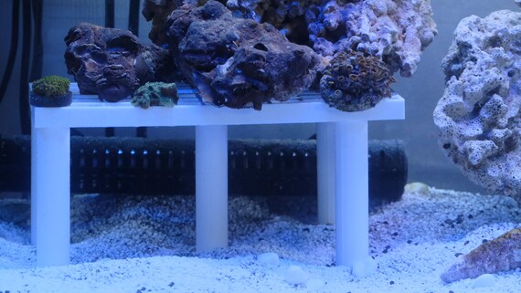 サンゴプラグスタンド 安定 5脚 66穴 海水ペットを置くための - サンゴ