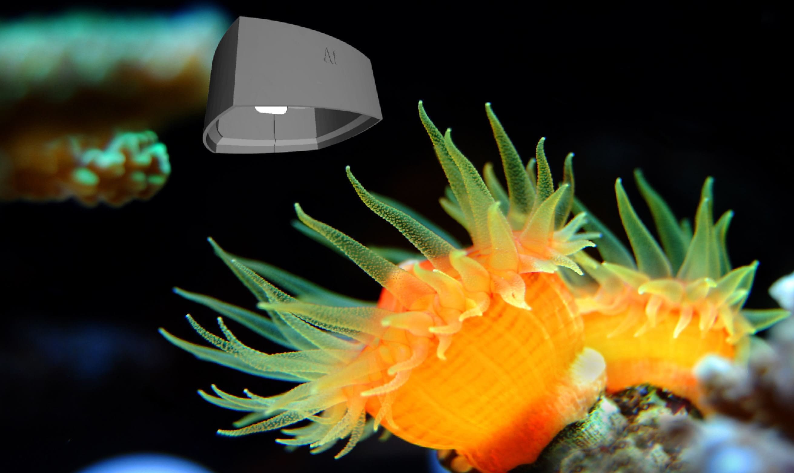 Light Shade AI Prime 16 Reef 16HD Light Shade Light Protection Has