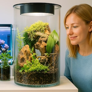 Könnte beinhalten: Ein zylindrisches Glas-Terrarium mit schwarzer Beleuchtung. Es enthält Steine, grüne Pflanzen und Moos. Das Terrarium steht auf einer weißen Oberfläche. Eine Frau in einem blauen Pullover betrachtet das Terrarium.